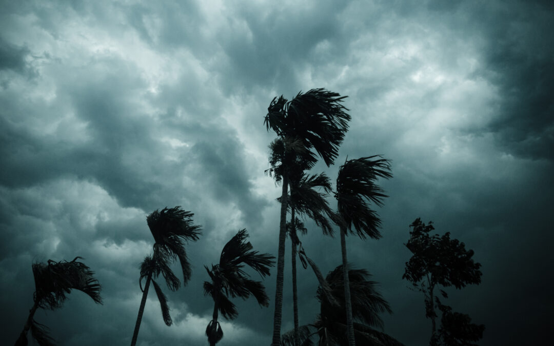 Hurricane Season Midway Check-In