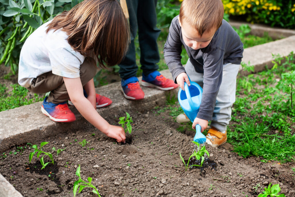 Spring into Action: Family Activities