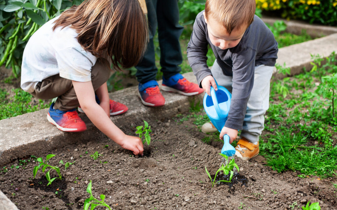 Spring into Action: Family Activities