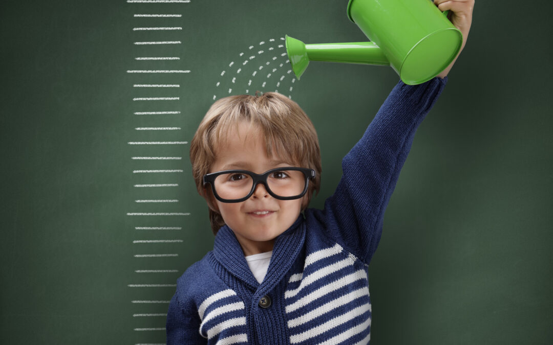 Understanding Florida Early Learning and Developmental Standards (FELDS)